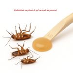 Market - Curatenie si intretinere casa - Produse menaj - Insecticide si capcane - Advion Gandaci Gel 30g, Eliminare Gandaci + Kit Aplicare LittleDomi (Aplicator cu Piston, Bete de Portocal, Manusi) - Infinity.ro