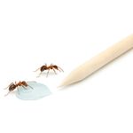 Market - Curatenie si intretinere casa - Produse menaj - Insecticide si capcane - Advion Furnici Gel, 30 g, Eliminare Furnici + Kit Aplicare LittleDomi (Aplicator cu Piston, Bete de Portocal, Manusi) - Infinity.ro