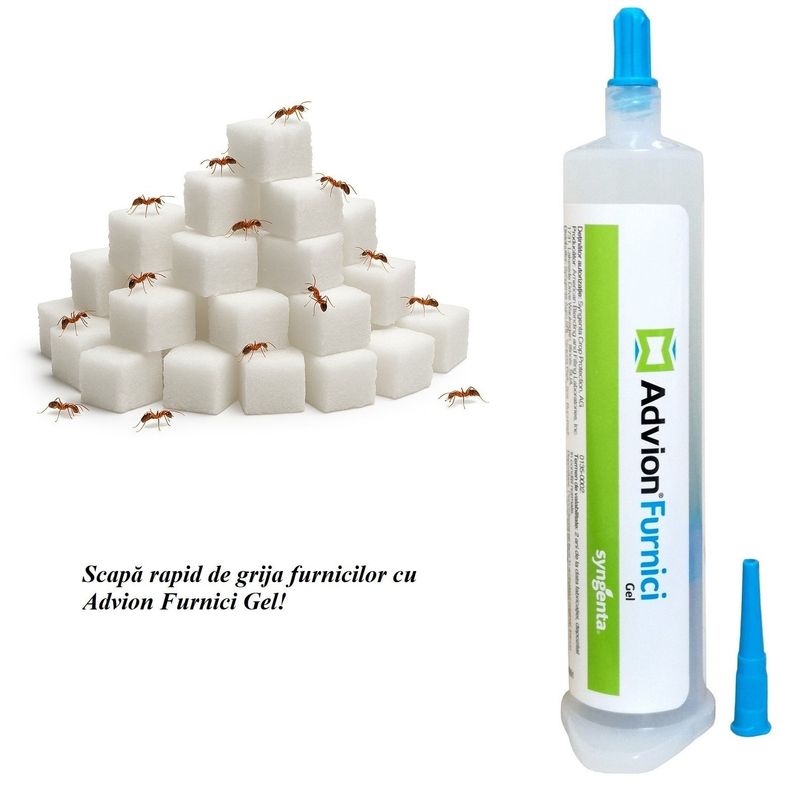 Market - Curatenie si intretinere casa - Produse menaj - Insecticide si capcane - Advion Furnici Gel, 30 g, Eliminare Furnici + Kit Aplicare LittleDomi (Aplicator cu Piston, Bete de Portocal, Manusi) - Infinity.ro