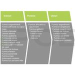 Market - Curatenie si intretinere casa - Produse menaj - Insecticide si capcane - Advion Furnici Gel, 30 g, Eliminare Furnici + Kit Aplicare LittleDomi (Aplicator cu Piston, Bete de Portocal, Manusi) - Infinity.ro