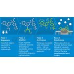 Market - Curatenie si intretinere casa - Produse menaj - Insecticide si capcane - Advion Furnici Gel, 30 g, Eliminare Furnici + Kit Aplicare LittleDomi (Aplicator cu Piston, Bete de Portocal, Manusi) - Infinity.ro