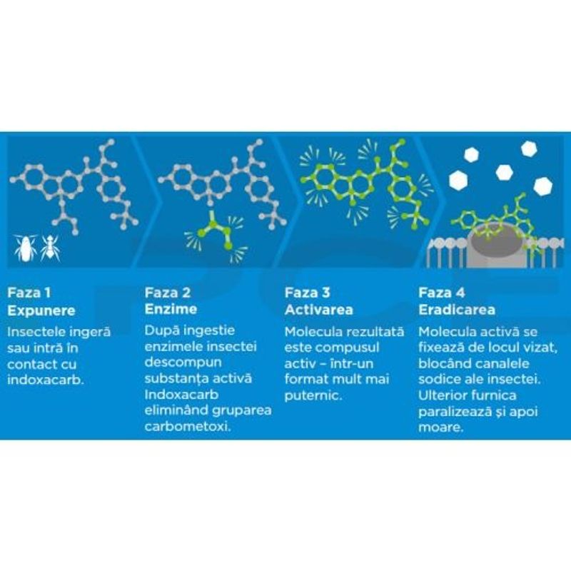 Market - Curatenie si intretinere casa - Produse menaj - Insecticide si capcane - Advion Furnici Gel, 30 g, Eliminare Furnici + Kit Aplicare LittleDomi (Aplicator cu Piston, Bete de Portocal, Manusi) - Infinity.ro
