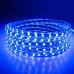 Casa si Gradina - Decoratiuni - Decoratiuni de sezon - Furtun Luminos tip Banda SMD 5050, 10 m 600 Leduri, Albastru, cu alimentator inclus - Infinity.ro