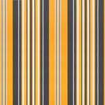 Casa si Gradina - Gradina si terasa - Umbrele si pavilioane - Pavilioane - Cortina Retractabila Multicolour 300 x 250 cm Stofa si Metal - Infinity.ro