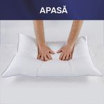 Casa si Gradina - Textile si covoare - Perne si pilote - Perne - Perna 50x70 cm, Essience Premium Collection, husa 100% Bumbac; umplutura nanofibra extrafina; - Infinity.ro