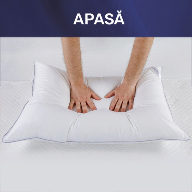 Casa si Gradina - Textile si covoare - Perne si pilote - Perne - Perna 50x70 cm, Essience Premium Collection, husa 100% Bumbac; umplutura nanofibra extrafina; - Infinity.ro