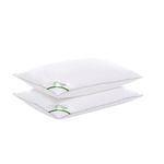 Casa si Gradina - Textile si covoare - Perne si pilote - Perne - Set 2 perne Sleep by Green Future 10% puf gasca 90% pana de gasca, 50x70 cm - Infinity.ro