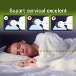 Casa si Gradina - Textile si covoare - Perne si pilote - Perne - Set 2 perne Sleep by Green Future 10% puf gasca 90% pana de gasca, 50x70 cm - Infinity.ro