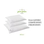 Casa si Gradina - Textile si covoare - Perne si pilote - Perne - Perna Life 3 in 1, umplutura Nanofibra si fulgi Memory, 50x70 cm - Infinity.ro