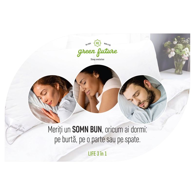 Casa si Gradina - Textile si covoare - Perne si pilote - Perne - Perna Life 3 in 1, umplutura Nanofibra si fulgi Memory, 50x70 cm - Infinity.ro