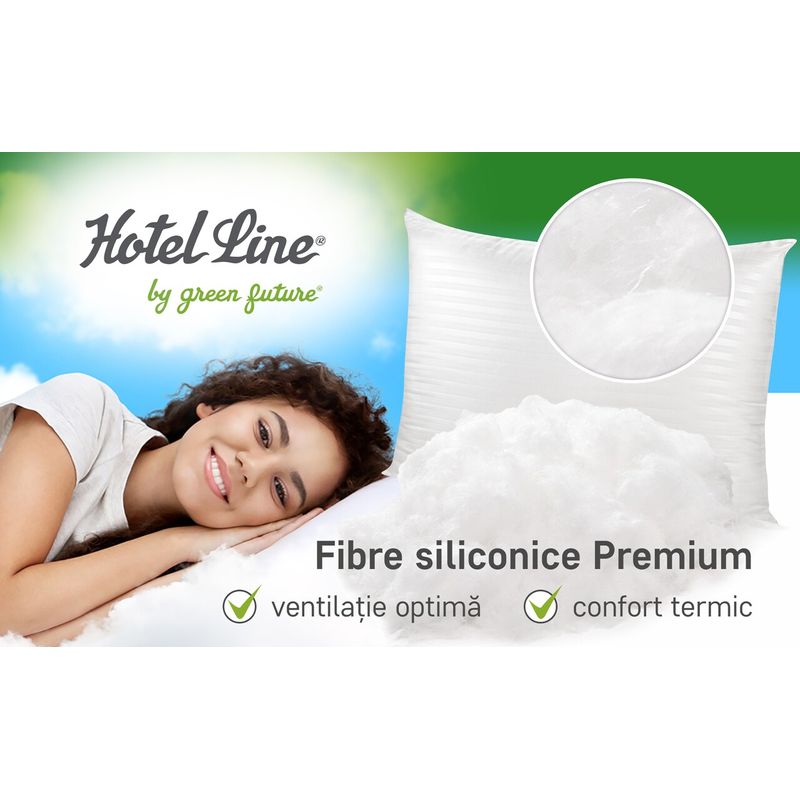 Casa si Gradina - Textile si covoare - Perne si pilote - Perne - Perna Green Future Hotel Line 50x70 cm - Infinity.ro