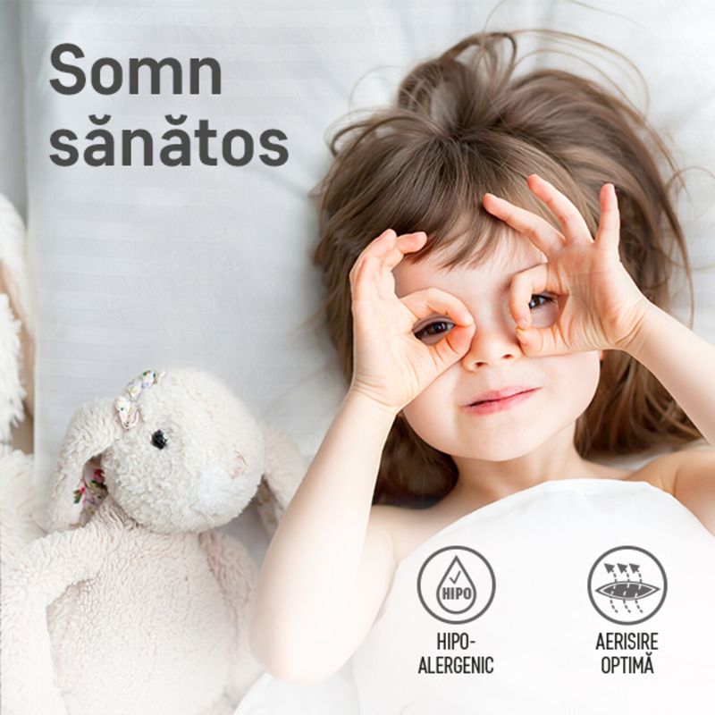 Casa si Gradina - Textile si covoare - Perne si pilote - Perne - Perna Green Future Hotel Line 50x70 cm - Infinity.ro