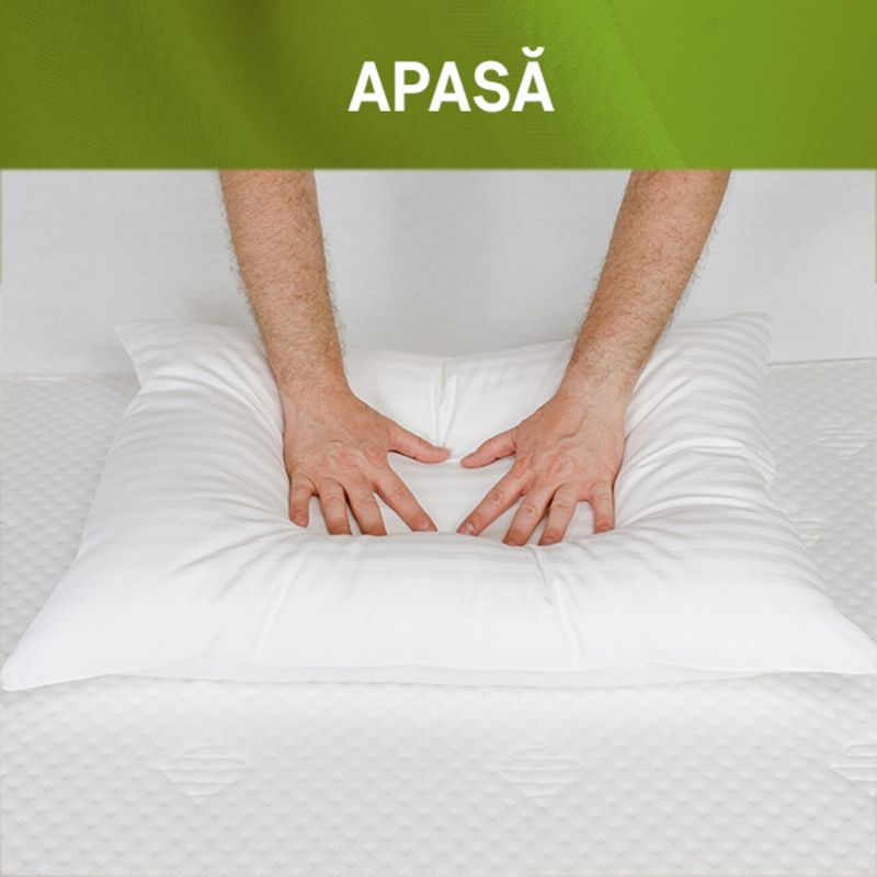 Casa si Gradina - Textile si covoare - Perne si pilote - Perne - Perna Green Future Hotel Line 50x70 cm - Infinity.ro