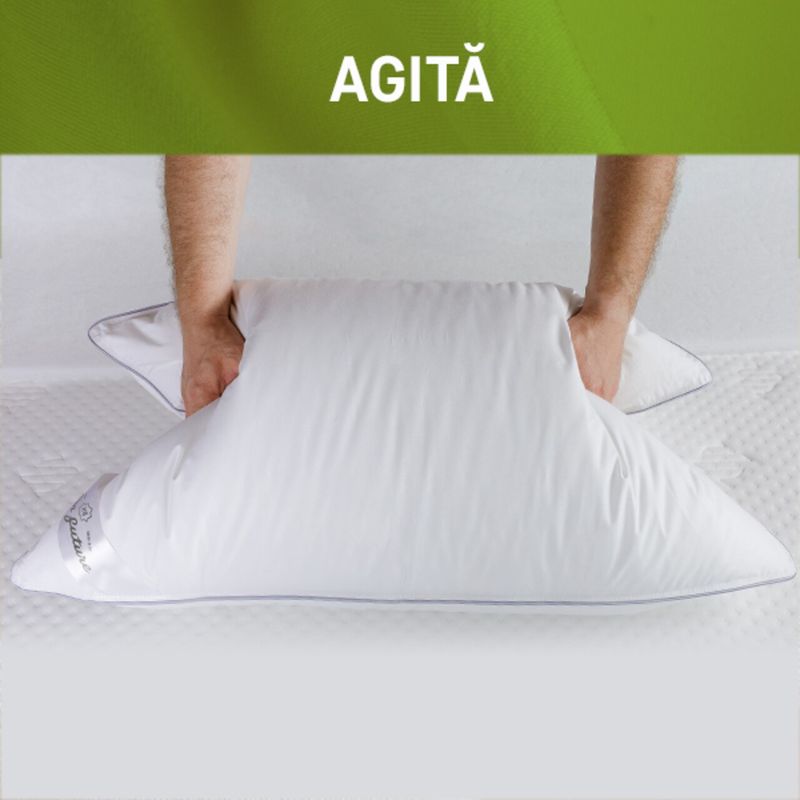 Casa si Gradina - Textile si covoare - Perne si pilote - Perne - Perna Feeling Green Future 50% puf de gasca 50% pana de gasca, 70x70 cm - Infinity.ro