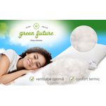 Casa si Gradina - Textile si covoare - Perne si pilote - Perne - Perna Feeling Green Future 50% puf de gasca 50% pana de gasca, 70x70 cm - Infinity.ro
