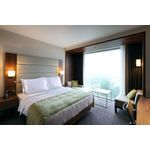 Casa si Gradina - Textile si covoare - Perne si pilote - Perne - Perna Feeling Green Future 50% puf de gasca 50% pana de gasca, 70x70 cm - Infinity.ro