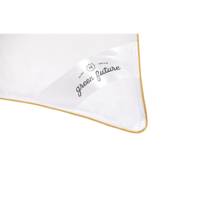 Casa si Gradina - Textile si covoare - Perne si pilote - Perne - Perna Feeling 100 70x70 cm- Puf de gasca 100% - Infinity.ro