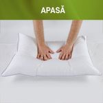 Casa si Gradina - Textile si covoare - Perne si pilote - Perne - Perna Feeling 100 70x70 cm- Puf de gasca 100% - Infinity.ro