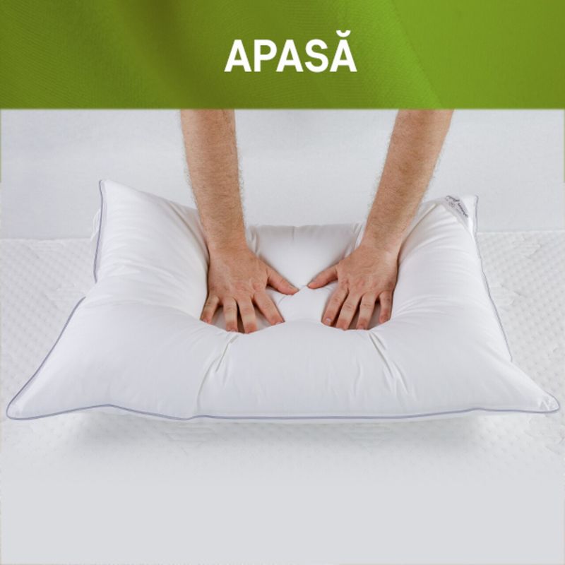 Casa si Gradina - Textile si covoare - Perne si pilote - Perne - Perna Feeling 100 70x70 cm- Puf de gasca 100% - Infinity.ro