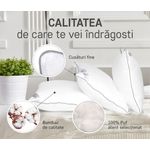 Casa si Gradina - Textile si covoare - Perne si pilote - Perne - Perna Feeling 100 70x70 cm- Puf de gasca 100% - Infinity.ro