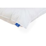 Casa si Gradina - Textile si covoare - Perne si pilote - Perne - Perna Green Future Performance 50x70 cm - Infinity.ro