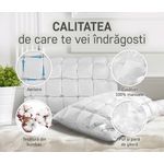 Casa si Gradina - Textile si covoare - Perne si pilote - Perne - Perna Feeling Fagure 100 50x70 - Puf de gasca 100% - Infinity.ro