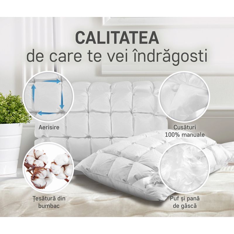 Casa si Gradina - Textile si covoare - Perne si pilote - Perne - Perna Feeling Fagure 100 50x70 - Puf de gasca 100% - Infinity.ro