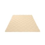 Casa si Gradina - Textile si covoare - Perne si pilote - Pilote - Pilota cocolino, Alcam, Red Rosa, 200x220 cm, 250g/mp - Infinity.ro