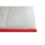 Casa si Gradina - Textile si covoare - Perne si pilote - Pilote - Pilota matlasata, Alcam, TNT, 200x220 cm, 250g/mp - Infinity.ro