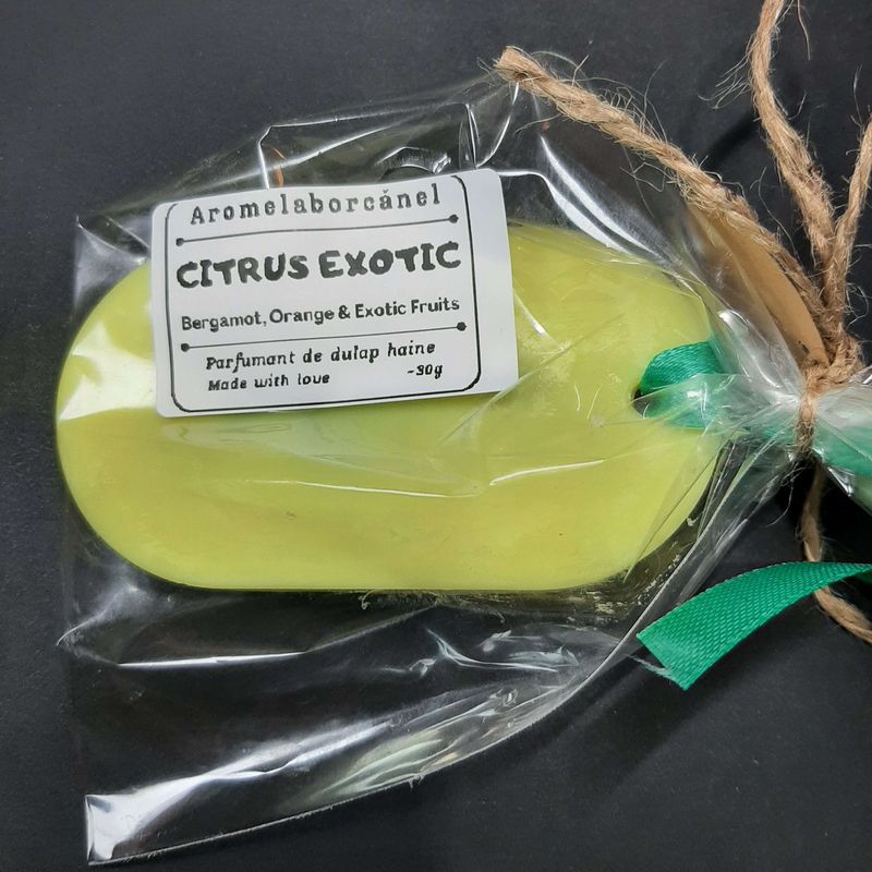 Casa si Gradina - Decoratiuni - Aromaterapie si lumanari - Odorizante camera - Parfumant dulap haine, Citrus Exotic – Bergamotă, Portocală, Fructe Exotice, Oval, handmade, ceară soia, 30g - Infinity.ro
