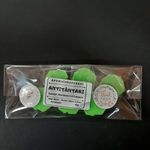 Casa si Gradina - Decoratiuni - Aromaterapie si lumanari - Lumanari si candele - Set Wax Melts figurine ceara soia parfumata, Antitantari – Eucalipt, Scortisoara, Cuisoare, handmade, aromaterapie, 25g - Infinity.ro