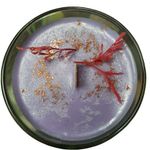 Casa si Gradina - Decoratiuni - Aromaterapie si lumanari - Lumanari si candele - Lumânare parfumată cu fitil lemn, Spring Breeze – Orhidee, Cacao, Ciocolată și Ylang Ylang, handmade, 200g - Infinity.ro