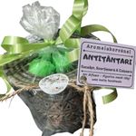 Casa si Gradina - Decoratiuni - Aromaterapie si lumanari - Lumanari si candele - Set difuzor Wax Melts si figurine ceara soia parfumata, Antitantari – Eucalipt, Scortisoara, Cuisoare, aromaterapie - Infinity.ro