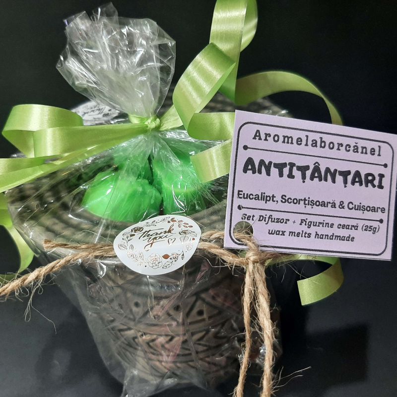 Casa si Gradina - Decoratiuni - Aromaterapie si lumanari - Lumanari si candele - Set difuzor Wax Melts si figurine ceara soia parfumata, Antitantari – Eucalipt, Scortisoara, Cuisoare, aromaterapie - Infinity.ro