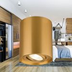 Casa si Gradina - Corpuri si surse de iluminat - Plafoniere, aplice si spoturi - Spot Gama BH04-00306, orientabil, 1xGU10, auriu, IP20, Braytron - Infinity.ro