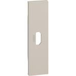 Casa si Gradina - Electrice - Accesorii electrice - Accesorii prize si intrerupatoare - Placa priza HDMI, culoare nisip, 1 modul, Bticino Living Now - Infinity.ro