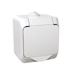 Casa si Gradina - Electrice - Prize - Priza simpla cu impamantare si capac, 16A, IP44, alb, Schneider Cedar - Infinity.ro