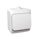 Casa si Gradina - Electrice - Distributie electrica si comanda - Intrerupatoare - Intrerupator simplu, IP44, alb, Schneider Cedar - Infinity.ro