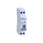 Casa si Gradina - Electrice - Distributie electrica si comanda - Sigurante - Siguranta automata P+N, 10A, curba de declansare B, capacitate de rupere 4,5kA, Noark - Infinity.ro