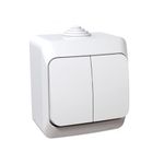 Casa si Gradina - Electrice - Distributie electrica si comanda - Intrerupatoare - Intrerupator dublu, 16A, IP44, alb, Schneider Cedar - Infinity.ro