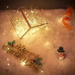 Casa si Gradina - Decoratiuni - Decoratiuni petrecere - Bannere si ghirlande decorative - Sir luminos nanoLED, 50 leduri, 5 metri, alimentare cu baterii, lumina calda(2700K), Masterled - Infinity.ro