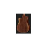 TV, Audio-Video si Foto - Instrumente muzicale - Instrumente clasice - Chitara Electro-Acustica DAngelico Premier Bowery LS Aged Mah - Infinity.ro