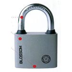 Casa si Gradina - Constructii - Feronerie si accesorii - Lacate - Lacat BLOSSOM, otel, 32 mm, Strend Pro - Infinity.ro