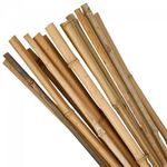 Casa si Gradina - Gradinarit si plante - Unelte gradinarit - Accesorii pentru unelte gradinarit - Suport/arac pentru plante, rosii, bambus, set 10 buc, 1.6x180 cm, Strend Pro - Infinity.ro