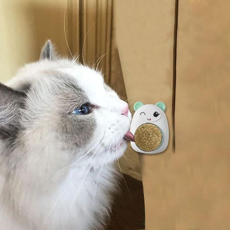 Petshop - Accesorii petshop - Jucarii animale - Jucarii interactive animale - Jucarie interactiva Model Ursulet pentru pisicute cu minge rotativa 360° din iarba Catnip, 4.3 x 6 cm, Verde - Infinity.ro