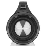 TV, Audio-Video si Foto - Portabile audio - Boxe portabile - Boxa portabila Bluetooth V5.0 cu tuner FM, GoGEN BPS 340 ORBEE, 40 W, IPX5, True Wireless Stereo - Infinity.ro