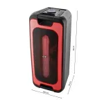 TV, Audio-Video si Foto - Portabile audio - Boxe portabile - Boxa portabila JVC XS-EP424B, 140W, Bluetooth, USB, Radio FM, Microfon, AUX IN, Negru - Infinity.ro