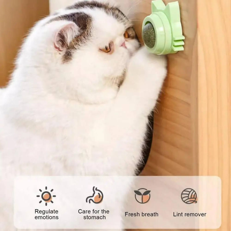 Petshop - Accesorii petshop - Jucarii animale - Jucarii interactive animale - Jucarie interactiva pentru pisicute cu minge rotativa 360° din iarba Catnip pentru curatarea dintilor, 5.5 cm, Verde - Infinity.ro