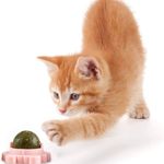 Petshop - Accesorii petshop - Jucarii animale - Jucarii interactive animale - Jucarie interactiva pentru pisicute cu minge rotativa 360° din iarba Catnip pentru curatarea dintilor, 5.5 cm, Verde - Infinity.ro