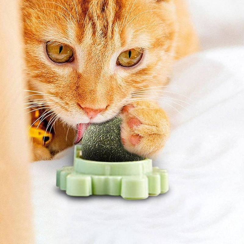 Petshop - Accesorii petshop - Jucarii animale - Jucarii interactive animale - Jucarie interactiva pentru pisicute cu minge rotativa 360° din iarba Catnip pentru curatarea dintilor, 5.5 cm, Verde - Infinity.ro